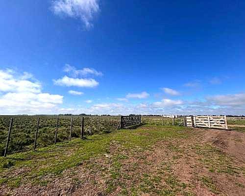 51 Has. Agrícolas en Cte. N. Otamendi, Gral. Alvarado