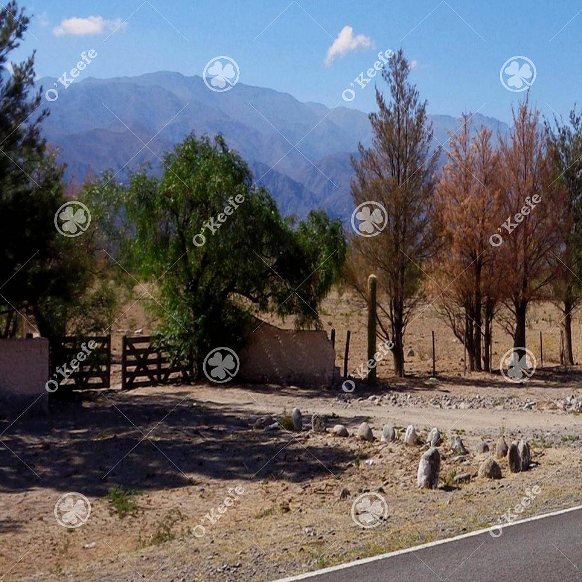 Campo en Venta de 357 Has Santa Maria, Catamarca