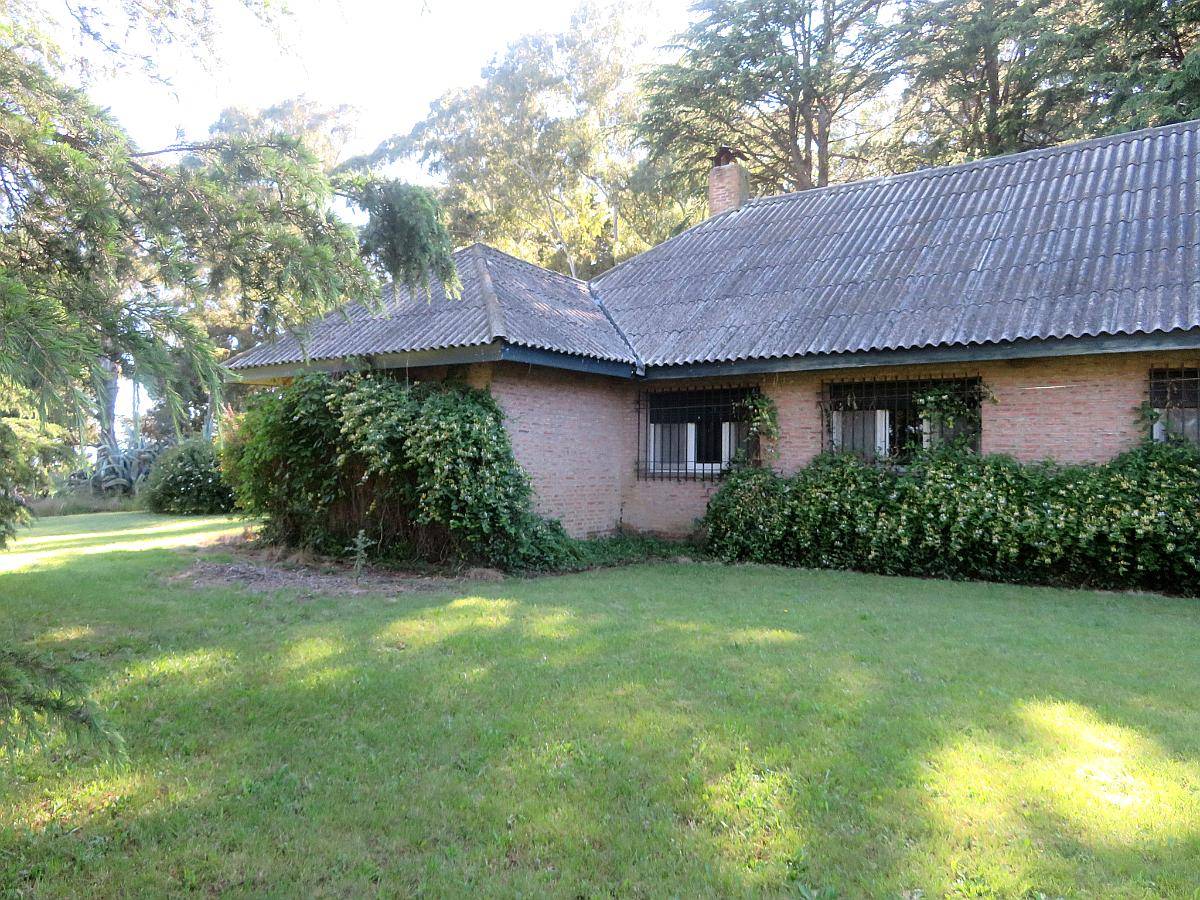 Dorbigny - 80 Ha - Buenos Aires