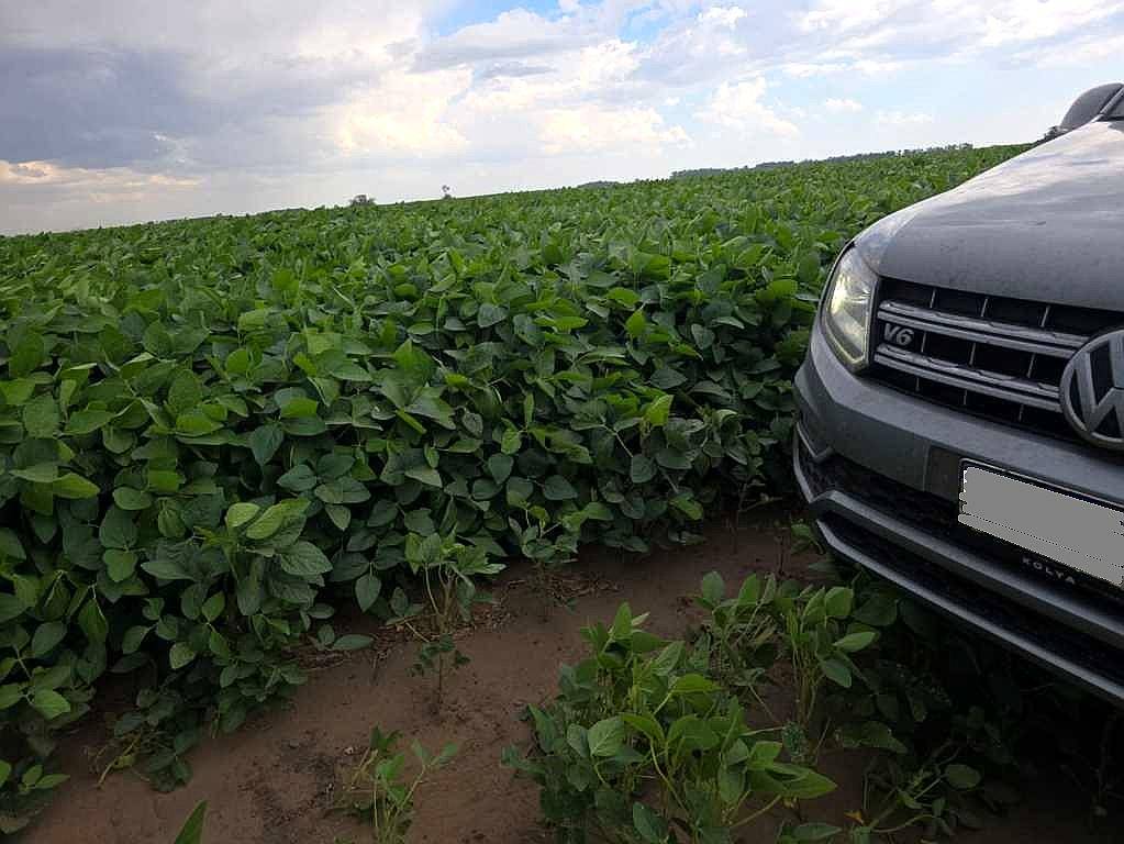 185 Has Agricolas Gral Pinto