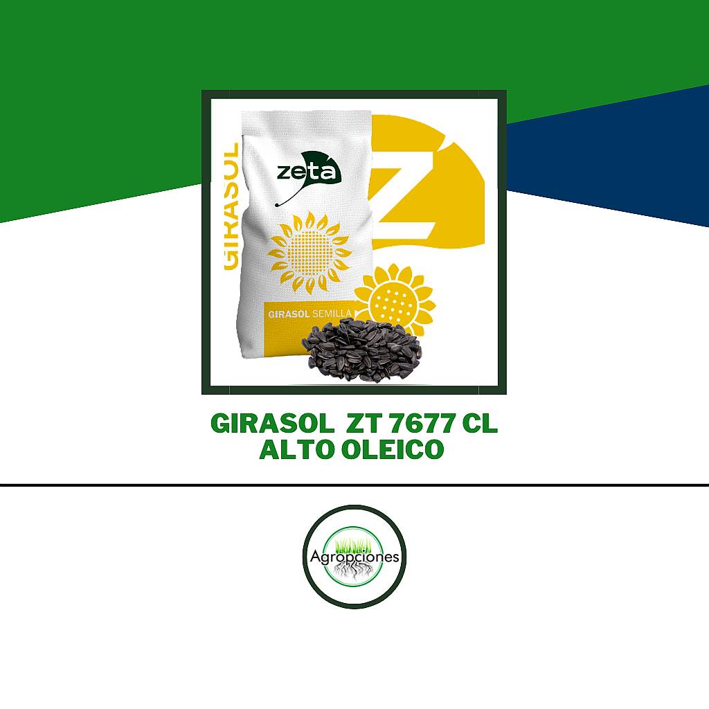 Semilla de Girasol Alto Oleico ZT 7677 CL