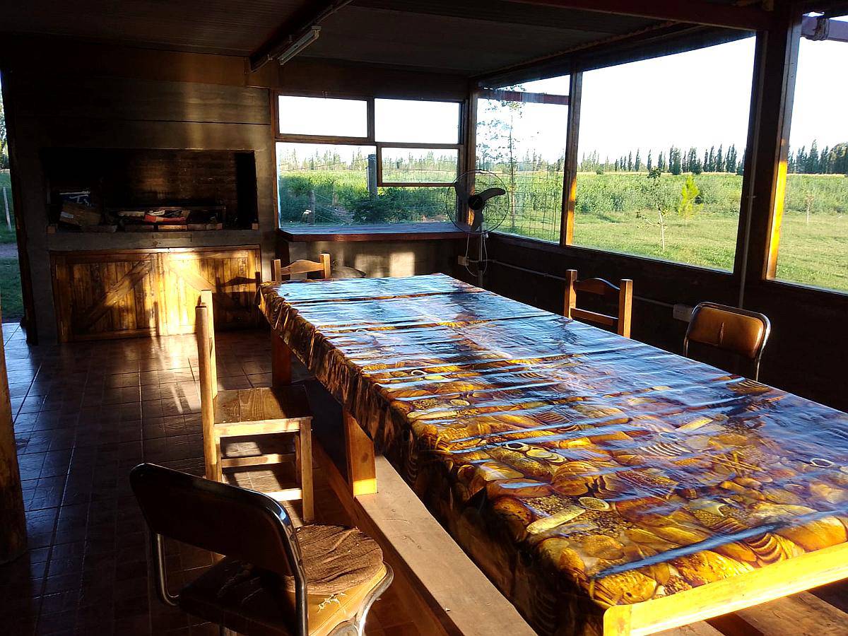 Venta 26 Has S/ruta Asfaltada 6 km G.alvear Mendoza REP ARG