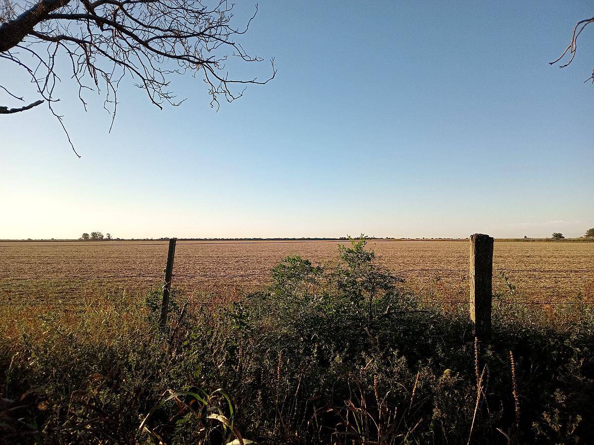 37.5 Ha en Venta en Piquillín