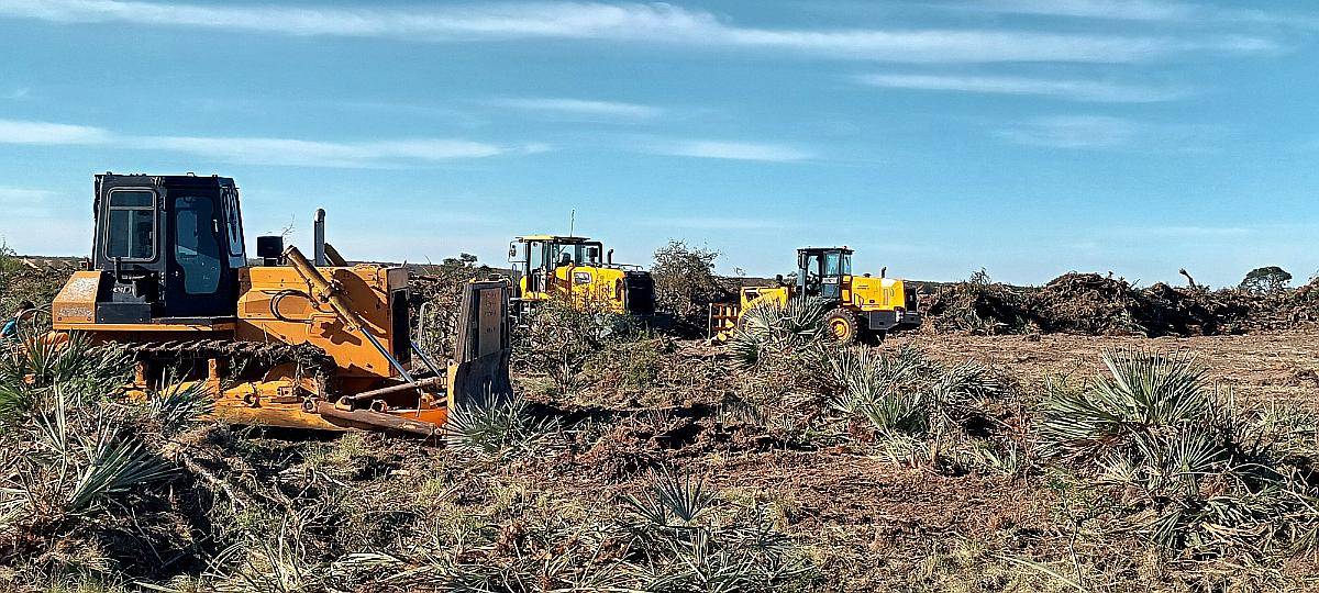 Limpiesa de Campo con Maquina