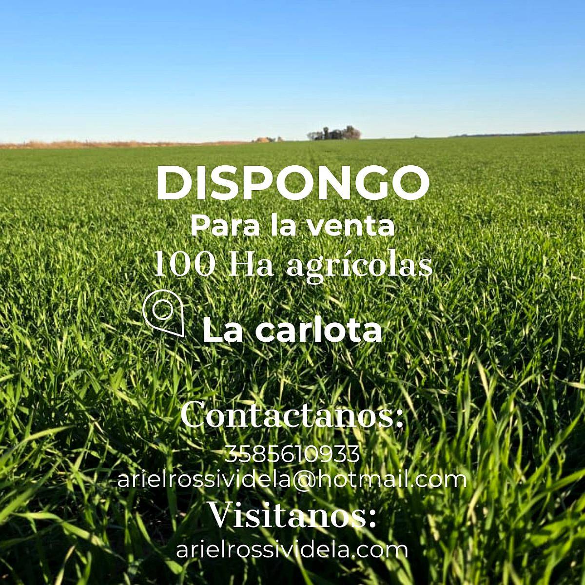100 Ha Agrícolas en Venta la Carlota