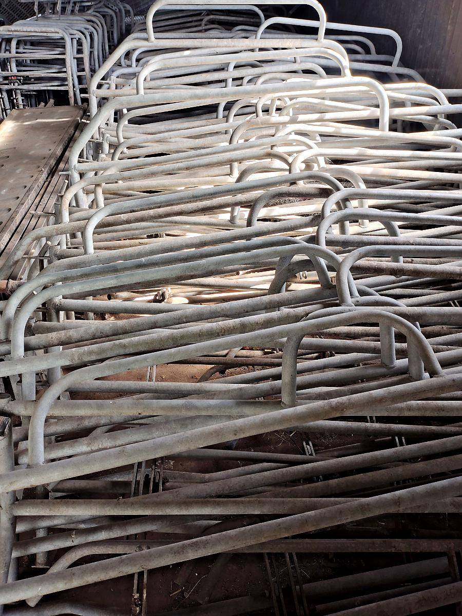 Jaulas Maternidad Termoplast Galvanizada