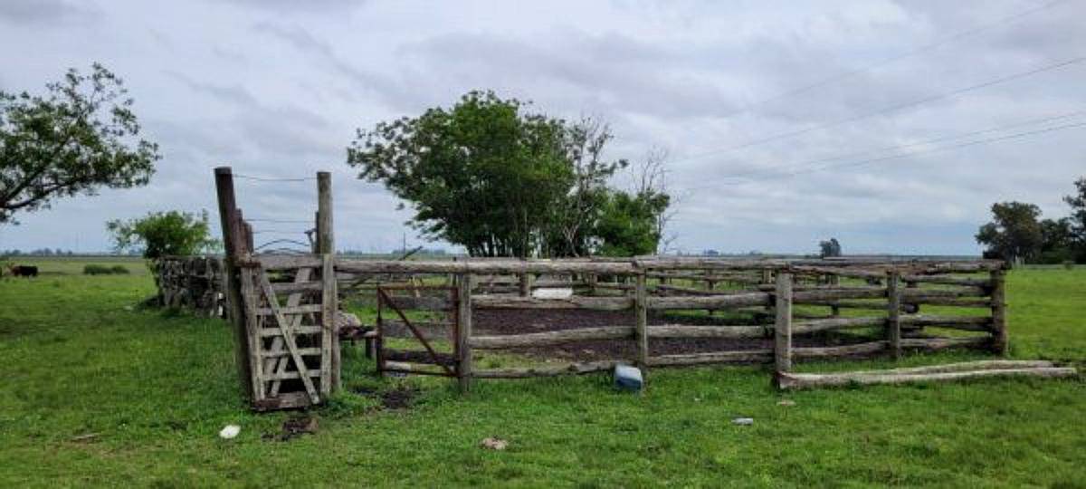 225 Ha en Ubajay - Dto. Colón. Entre Ríos