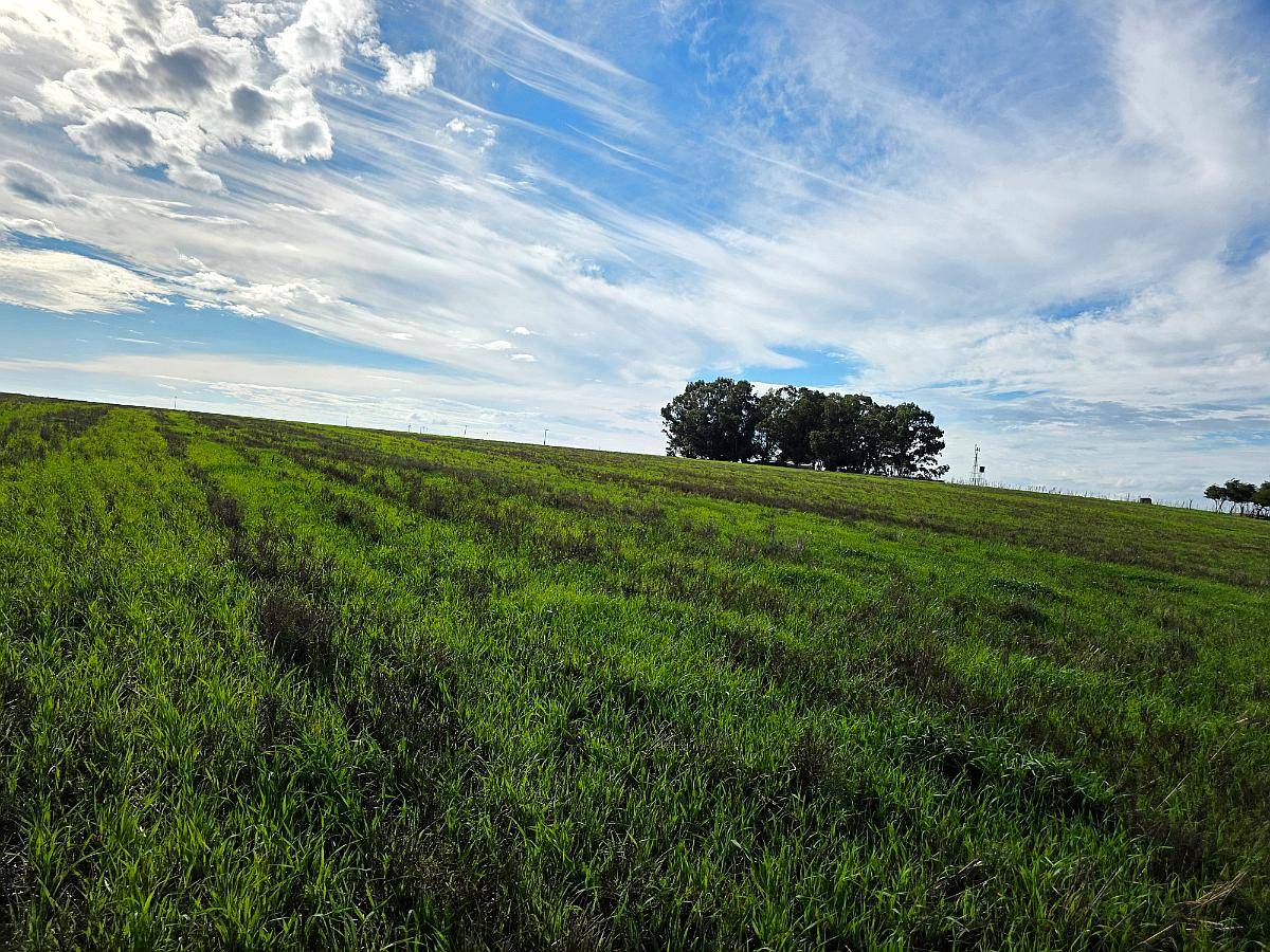 Campo Agricola Ochandio San Cayetano