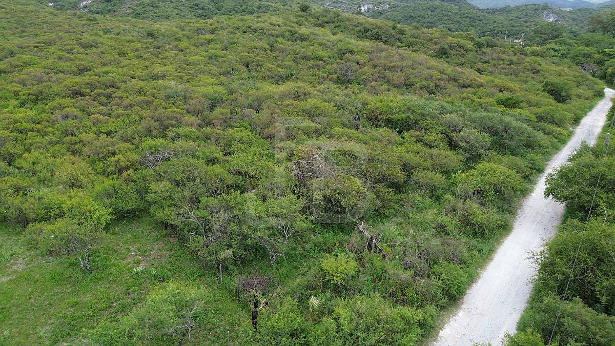 Terreno en Venta 1 Hectárea, Valle Buena Esperanza, Alta GRA