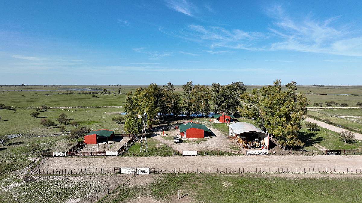 2700 Has. Campo Ganadero en Gualeguaychú