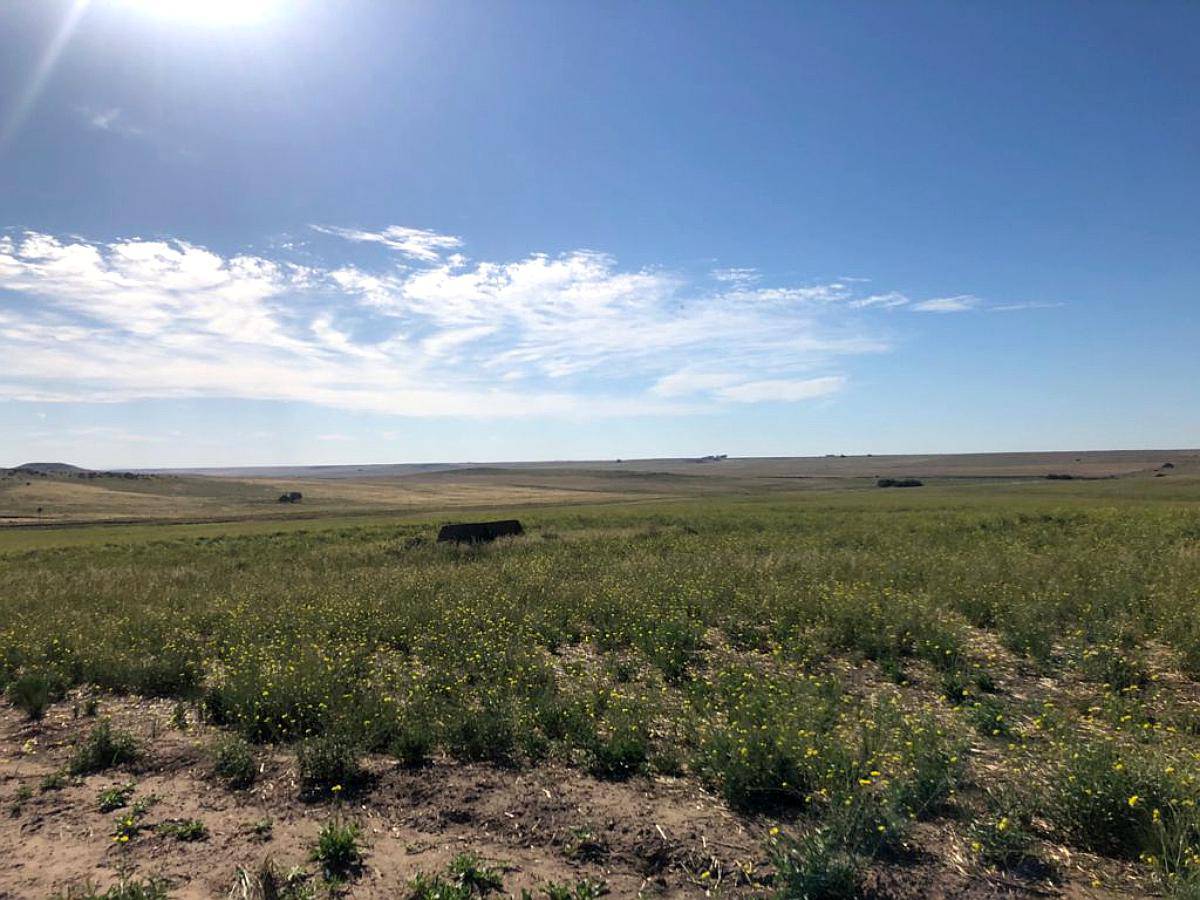 Campo 6500 Ha Sobre Ruta Puan, Bahia Blanca
