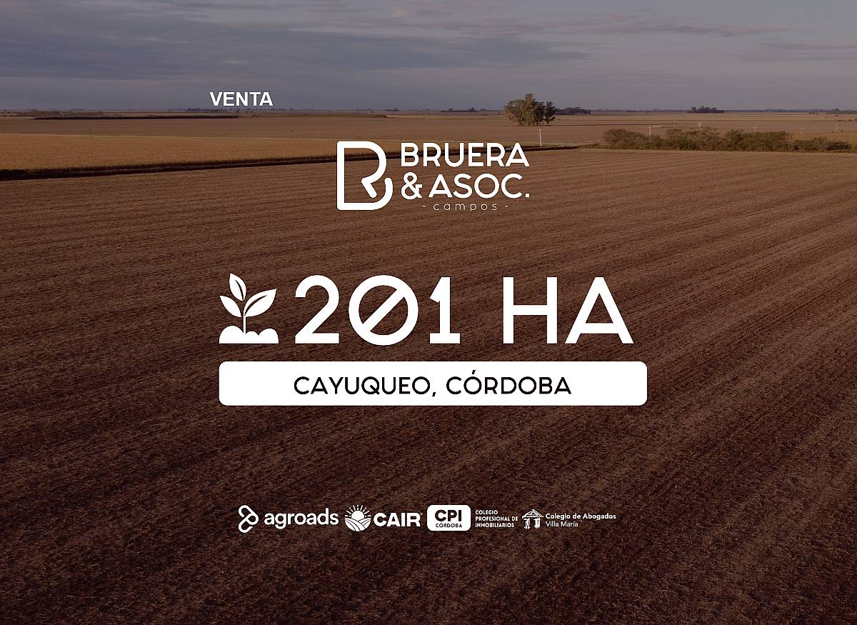 Campo 201 Hectáreas - Cayuqueo