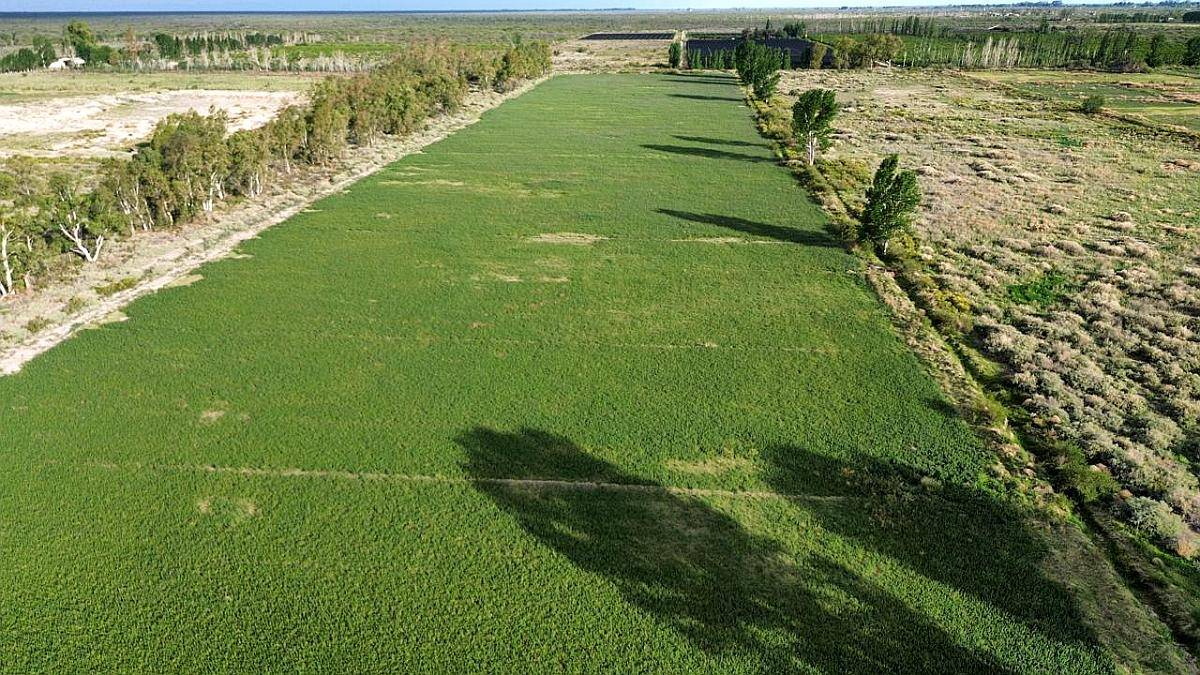 Finca de 48.8 Ha en la Dormida, Santa Rosa