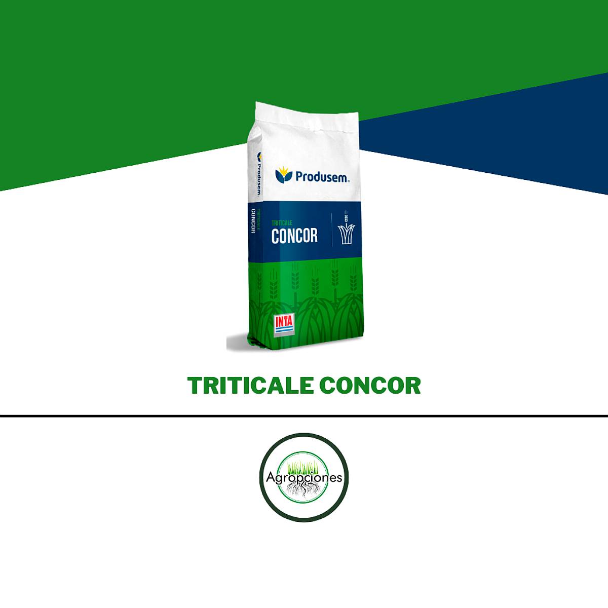 Semilla de Triticale Concor - Semillero Produsem