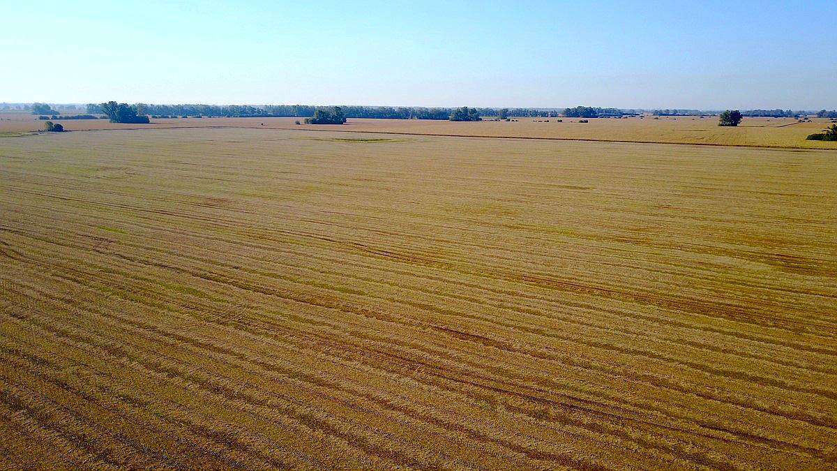 100 Has. Campo Agrícola en Capilla del Señor