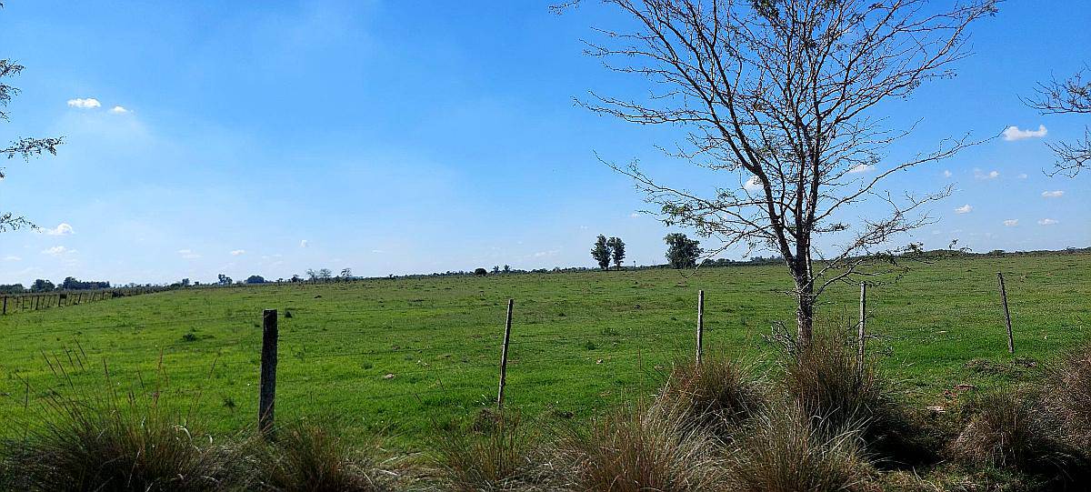 Se Venden 107 Has en Zona Aurelia