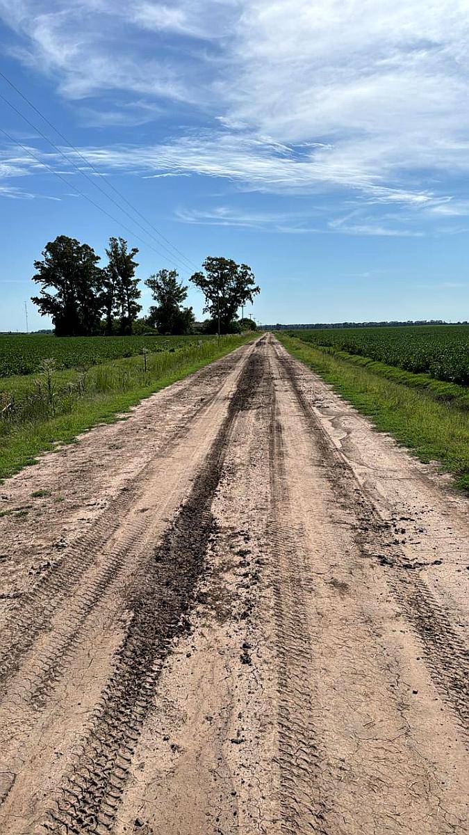 1.000 Hectáreas Agricolas. Suelo 1. Saltó.
