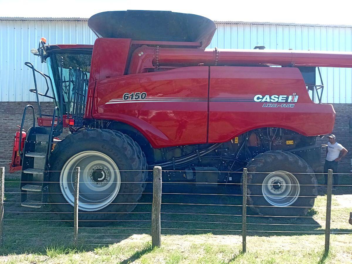 Cosechadora - Case IH - 6150 - 2021 - Piloto - Draper 35p