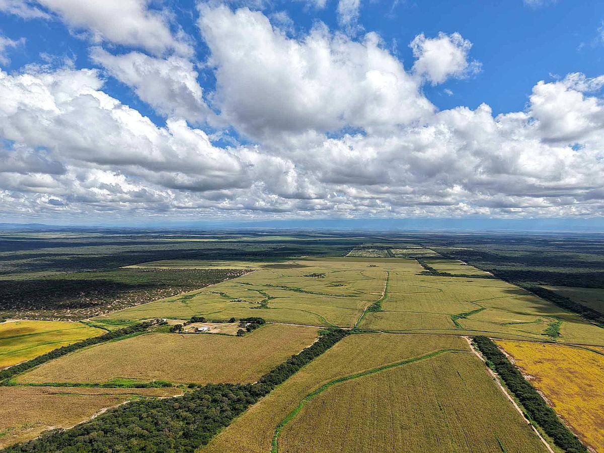 Pcia. de Salta - Rosario de la Frontera 906 Ha