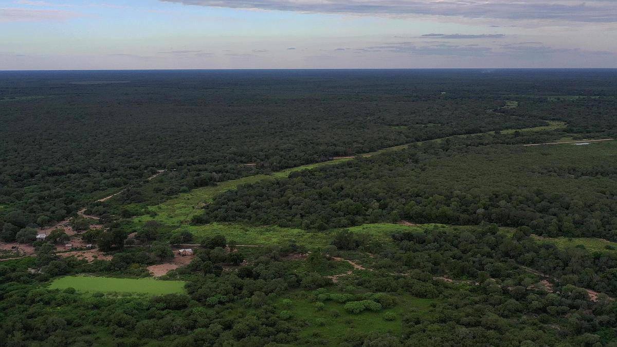 Chaco Castelli 750 Has Ganaderas Dolar Oficial