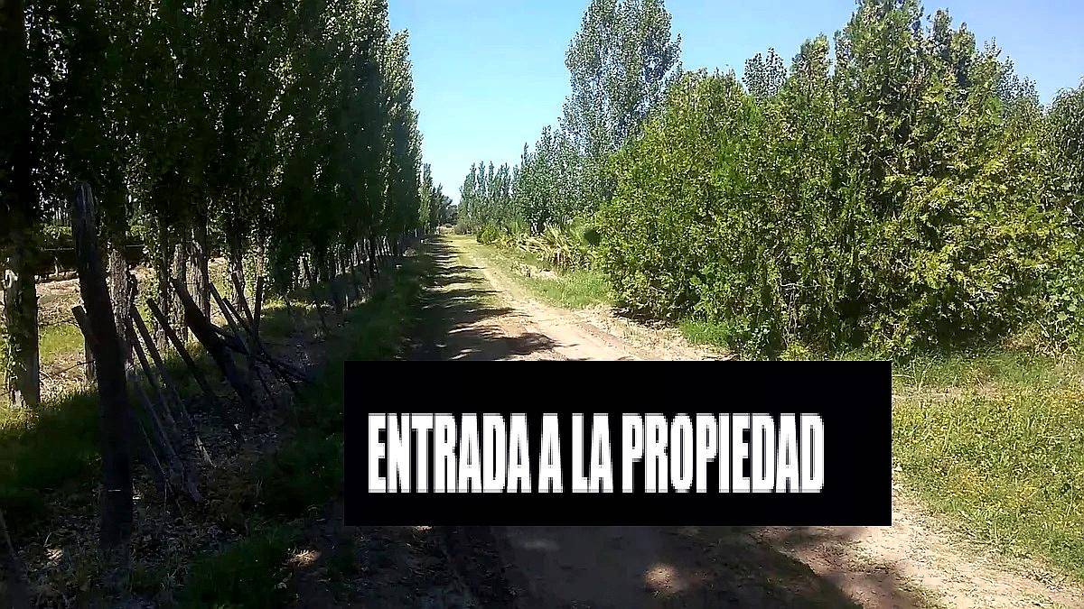 Linda Finca con Producción para Aceite ,5,6 Hectáreas