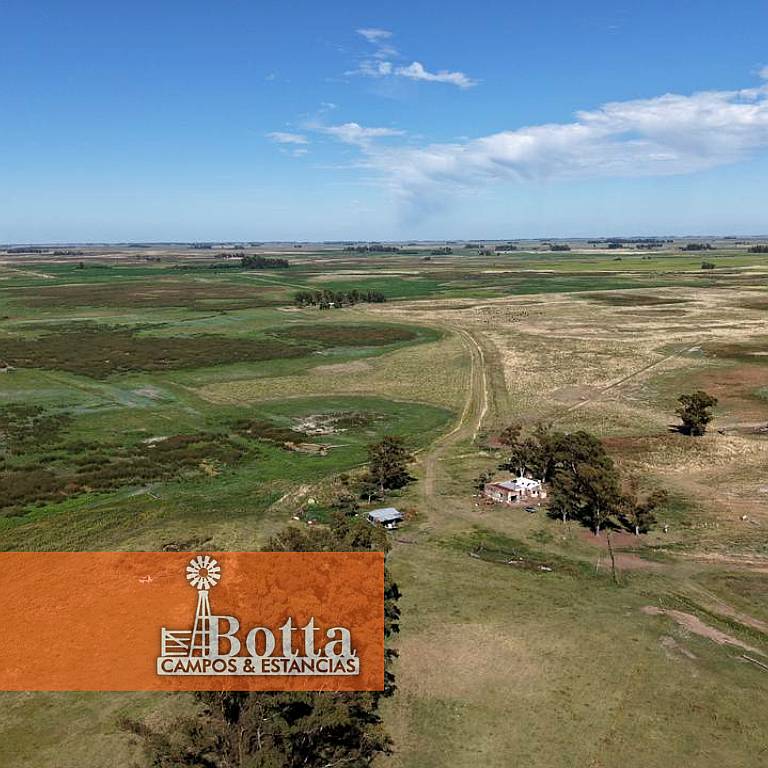 785has Mixtas en Venta en Carlos Casares