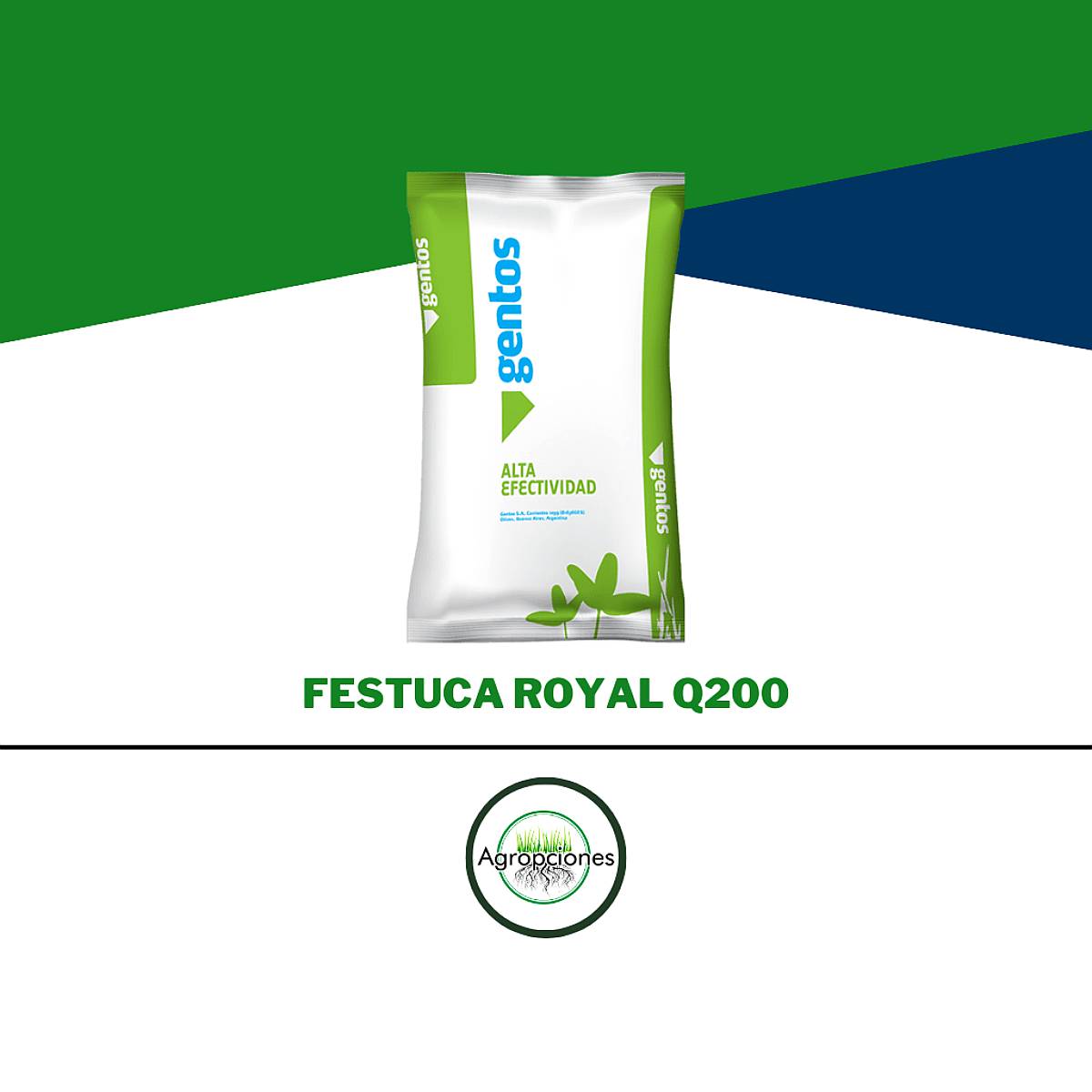 Semilla de Festuca Royal Q200 - Gentos
