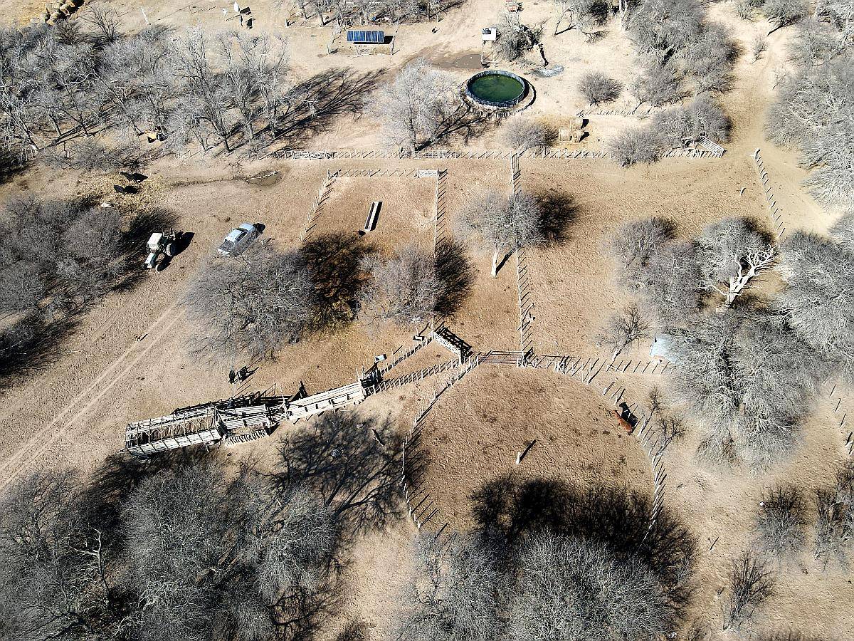 Venta 6500 Ha en Anchorena , San Luis