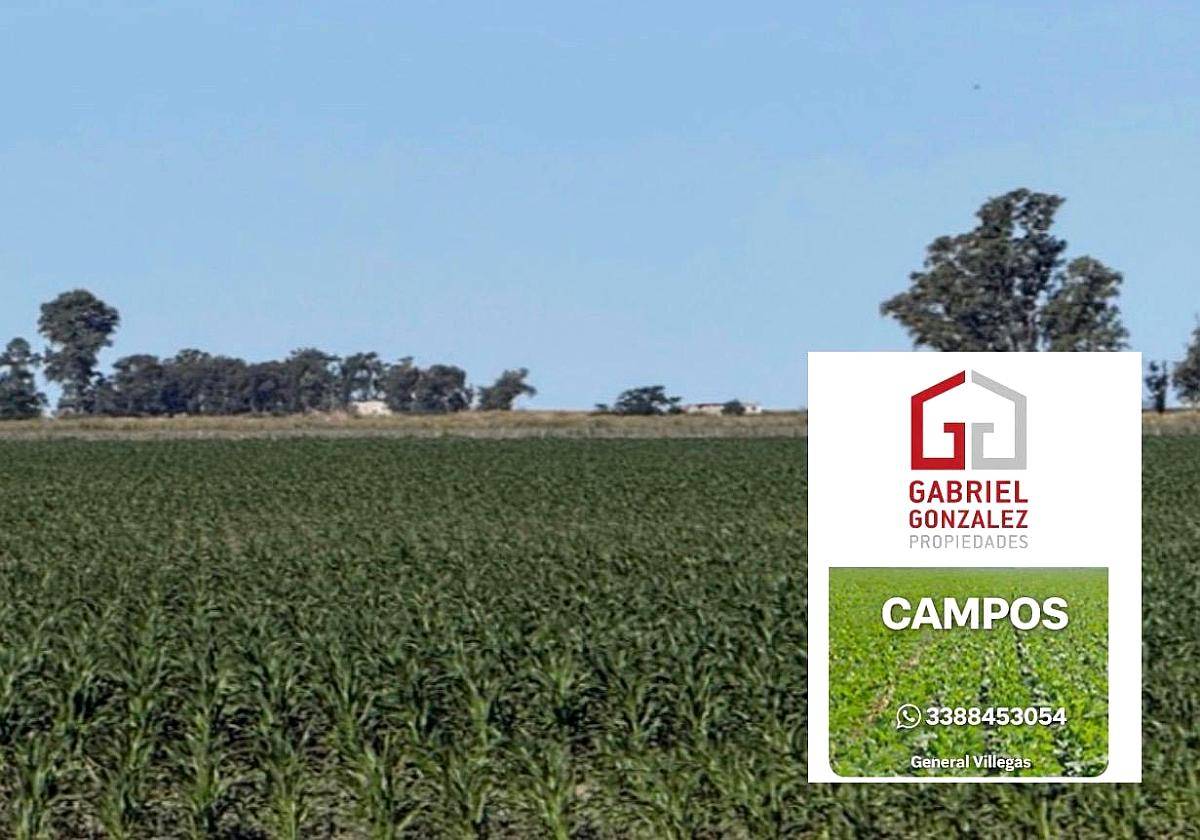 Campo Agrícola General Villegas