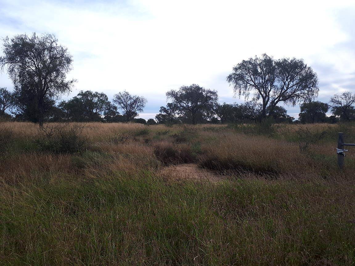 5200, Has Ganaderas en Producción