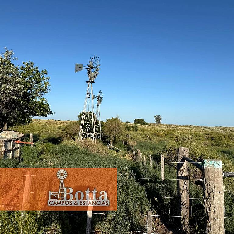 11000has en Venta en Santa Isabel, la Pampa