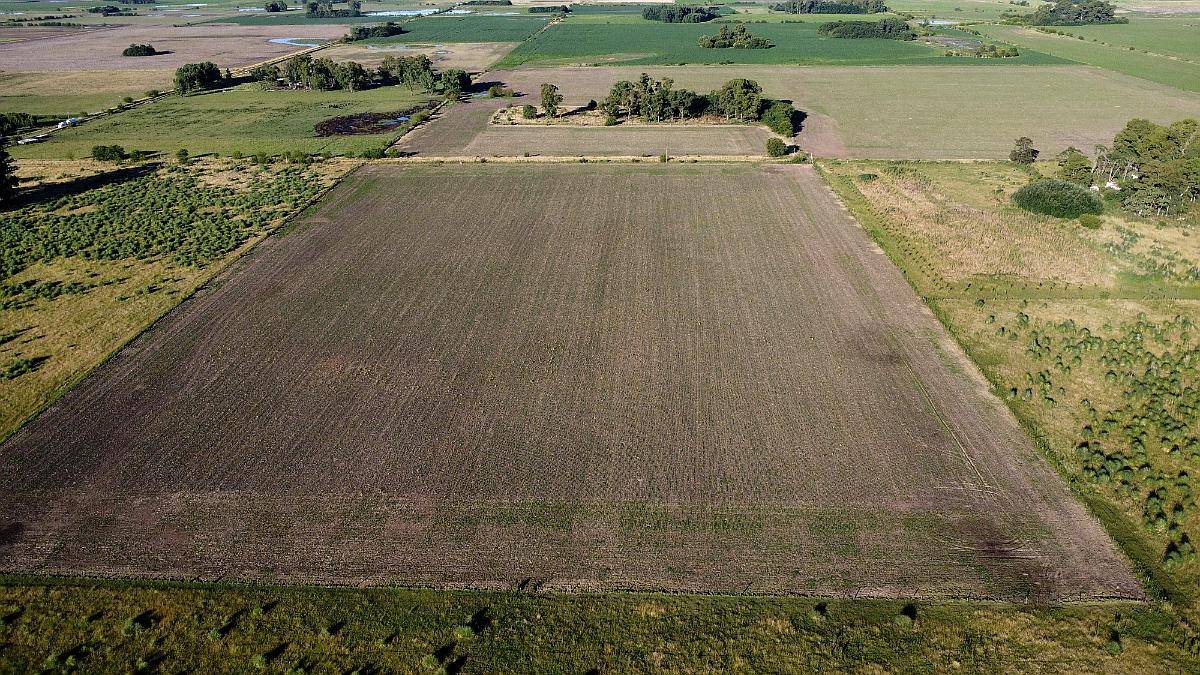 20 Ha Agricolas en Roque Pérez (BS AS)