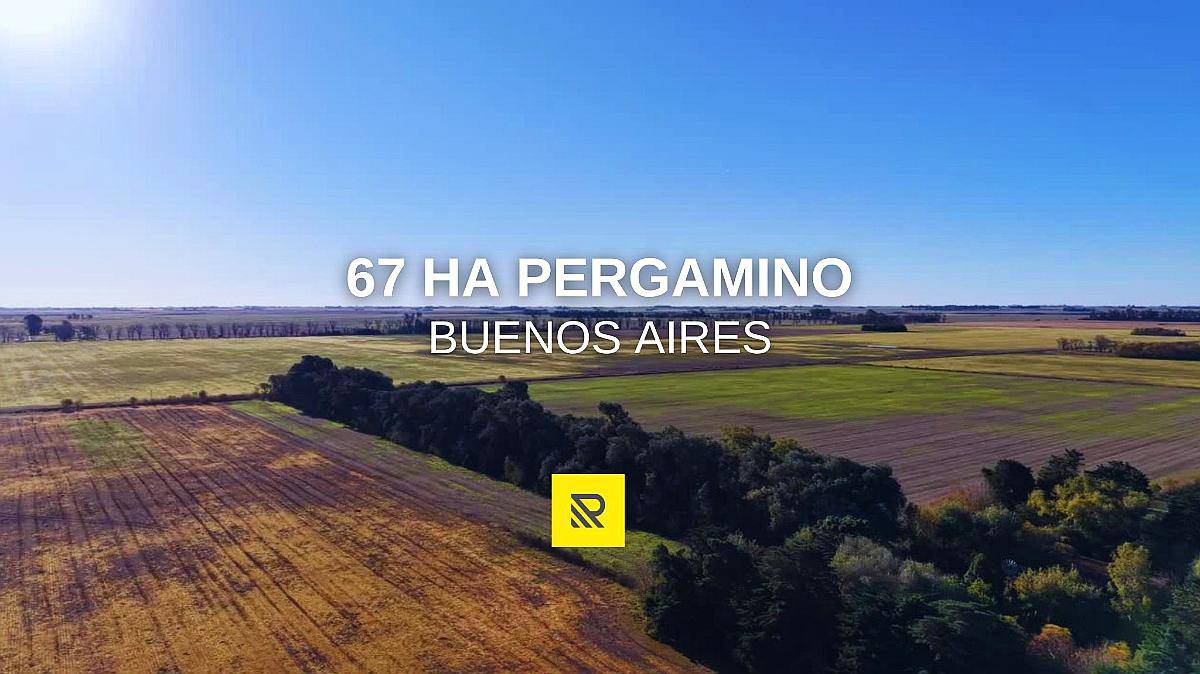 67ha Pergamino Buenos Aires