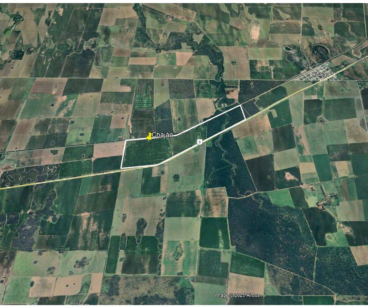 Chaján - 158 Ha - Córdoba