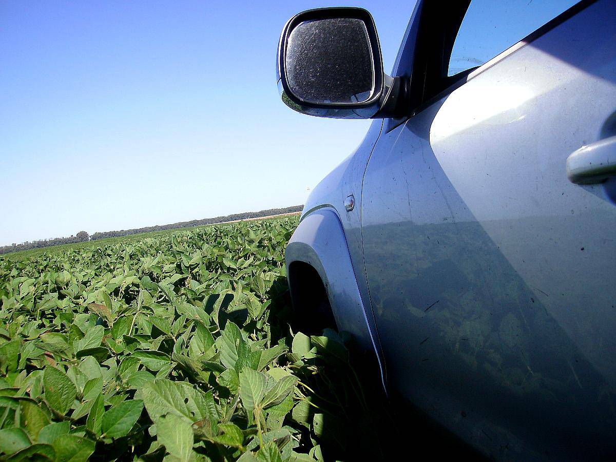 448ha con Riego Estancia Armada Maiz Soja Girasol Mani . STG