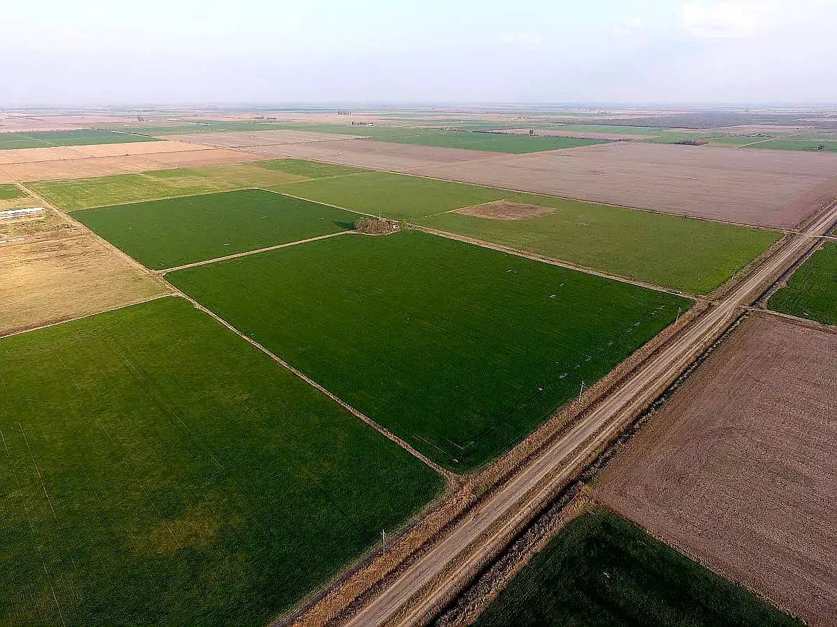 Vendo 751 Has en Salto Grande