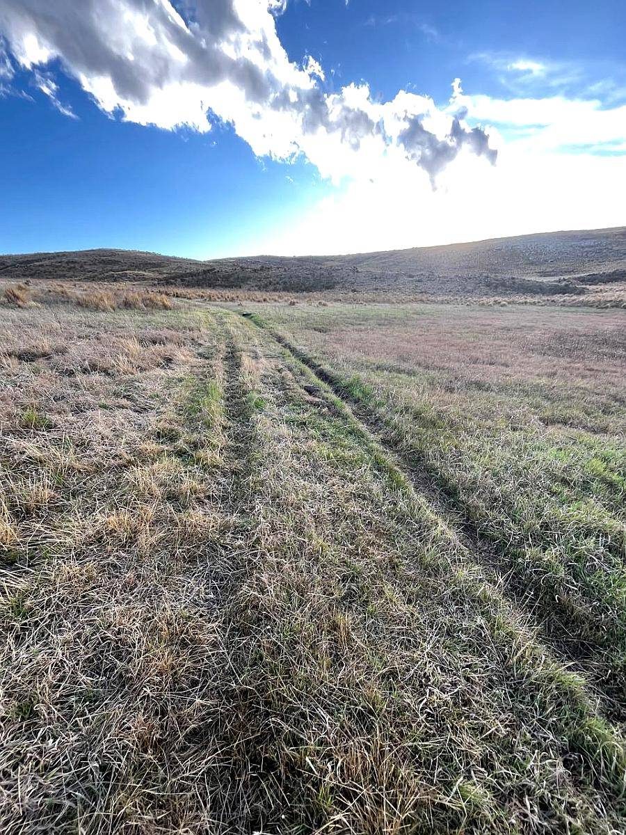Campo Ganadero a 16 km de la Carolina