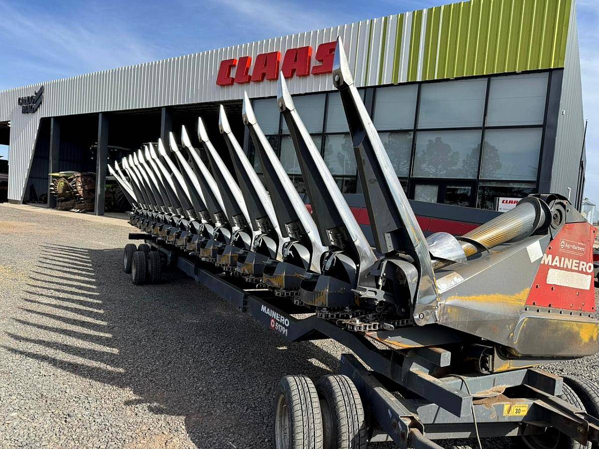 Mainero 16 a 52cm D-100