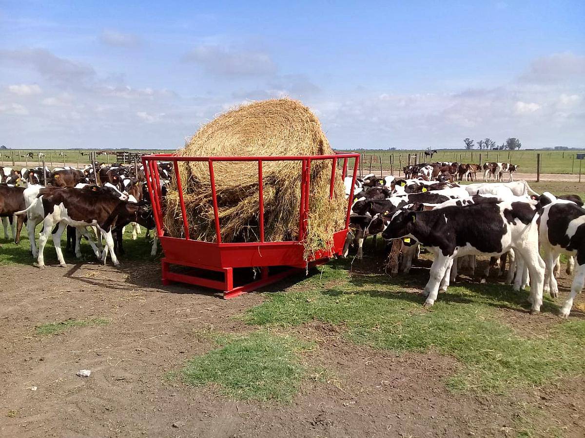 Comedero Porta Rollo - Indus Bell