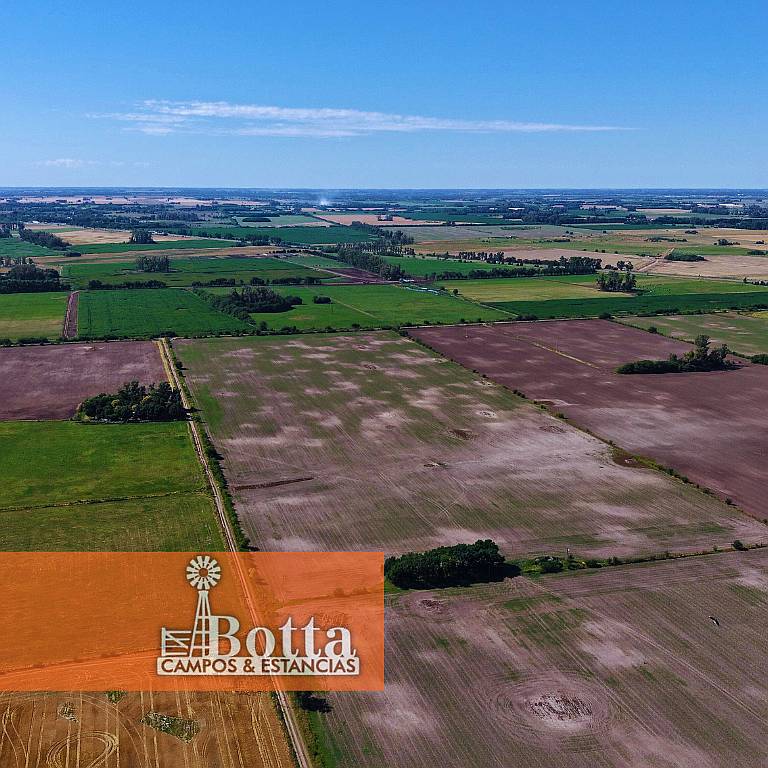 24has en Venta en Carlos Keen, 100% Agrícolas