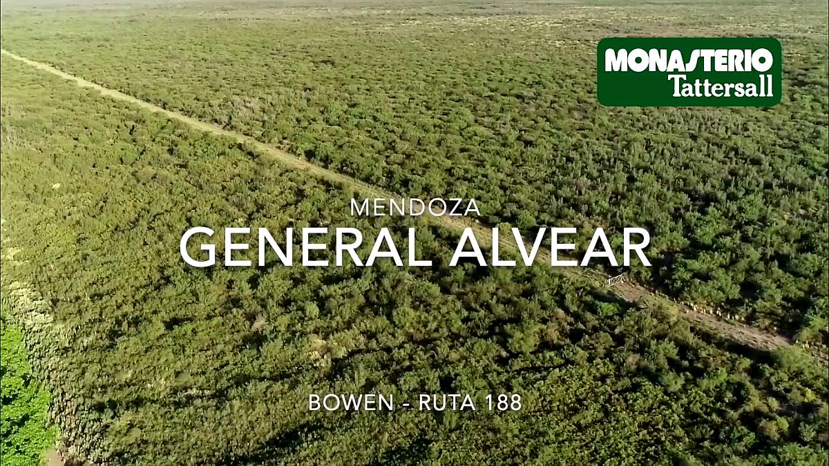 La Escandinava / Mendoza - 1000 Has.