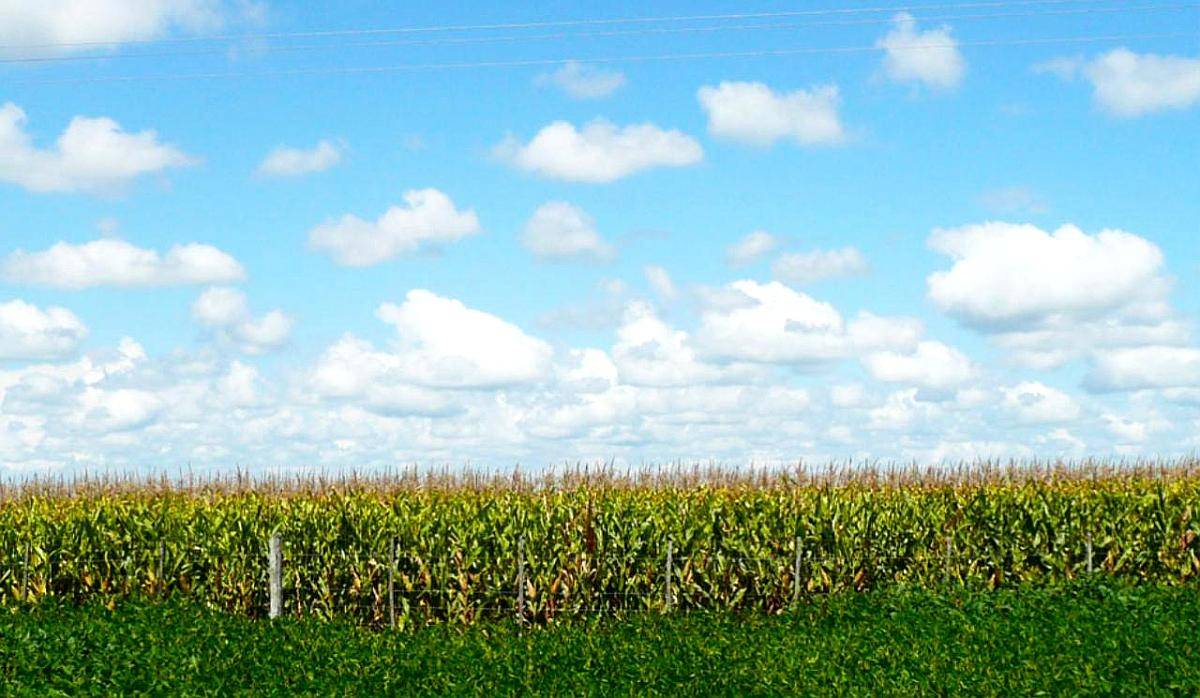 Campo 92 Hectareas Madariaga