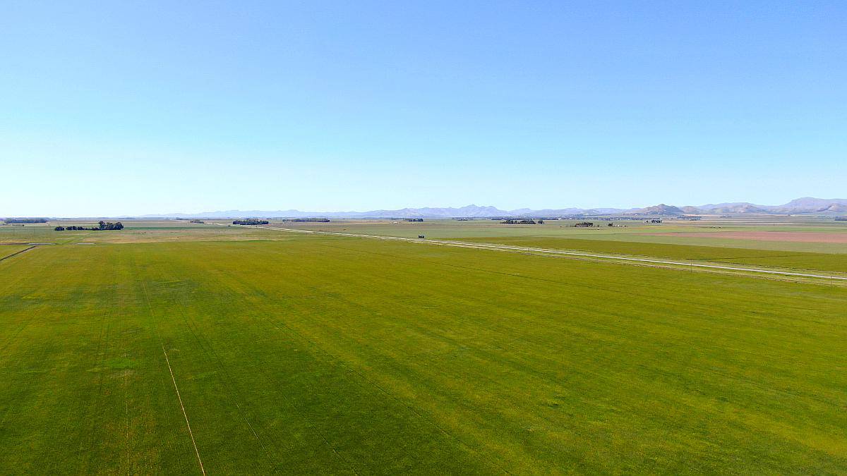 540 Has en Tornquist - BS. AS. - Agrícola - Venta