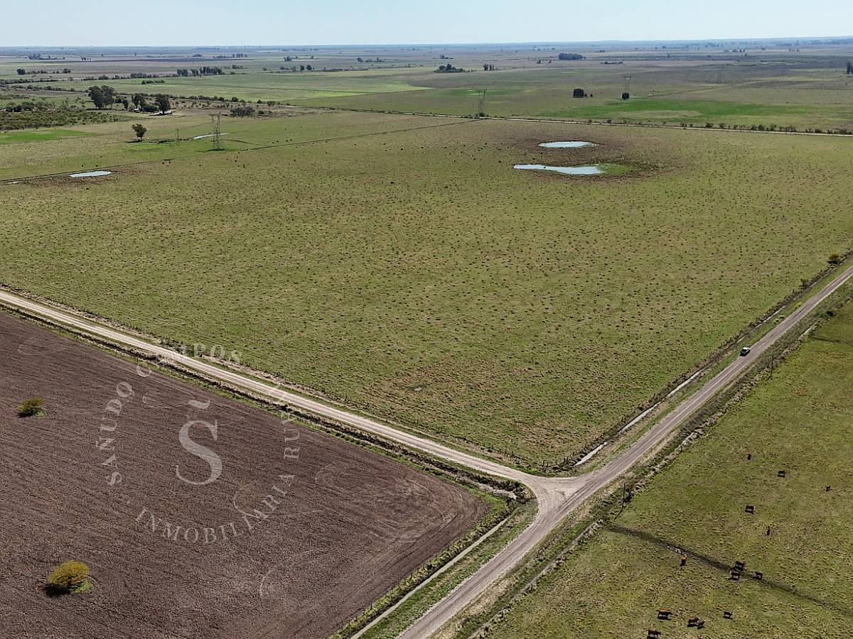 Venta Campo Mixto. 64 HA. la Criolla, Santa FE.