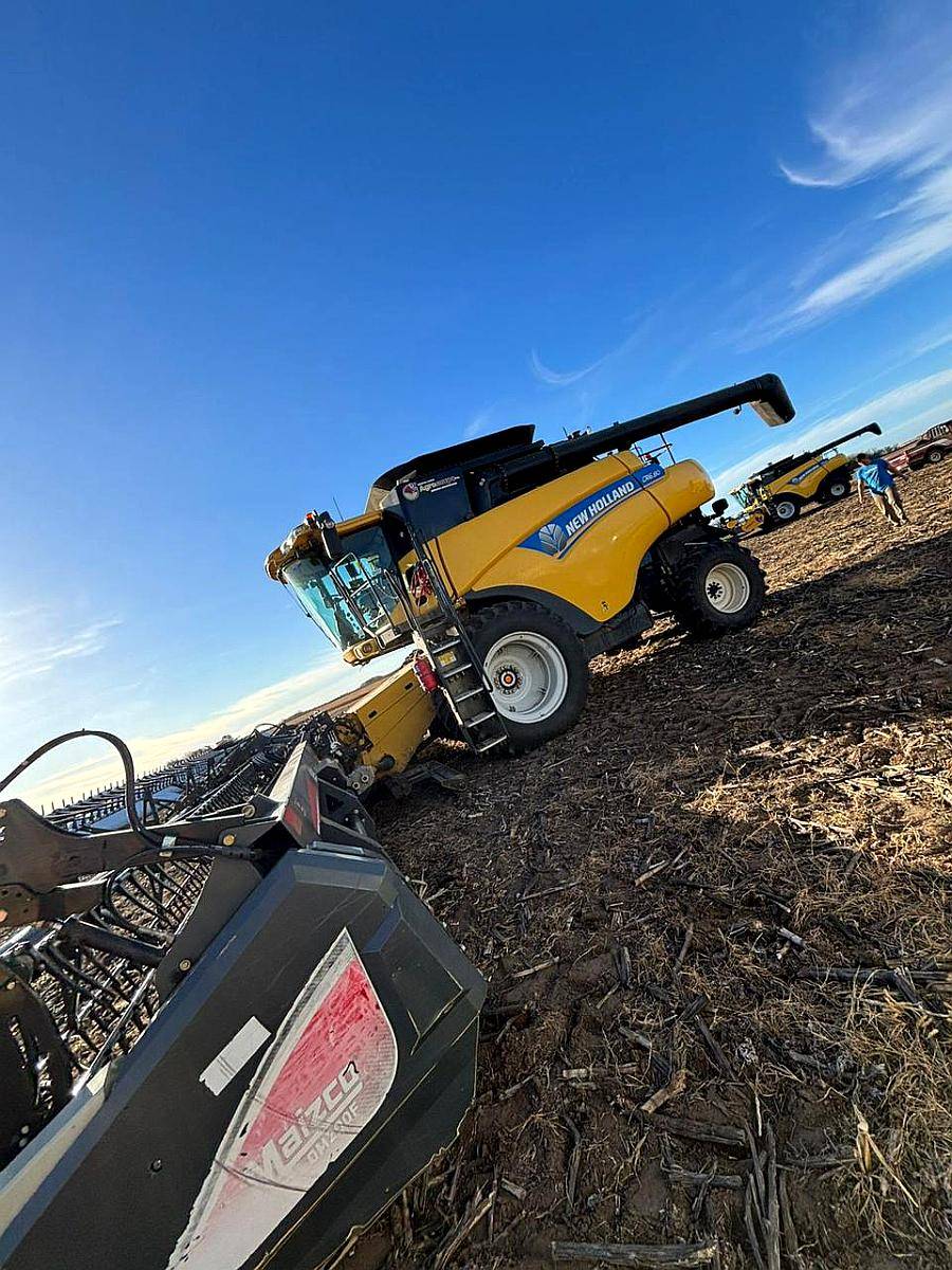 Cosechadora New Holland CR 6.80 Drapper 40 Pies Maizco