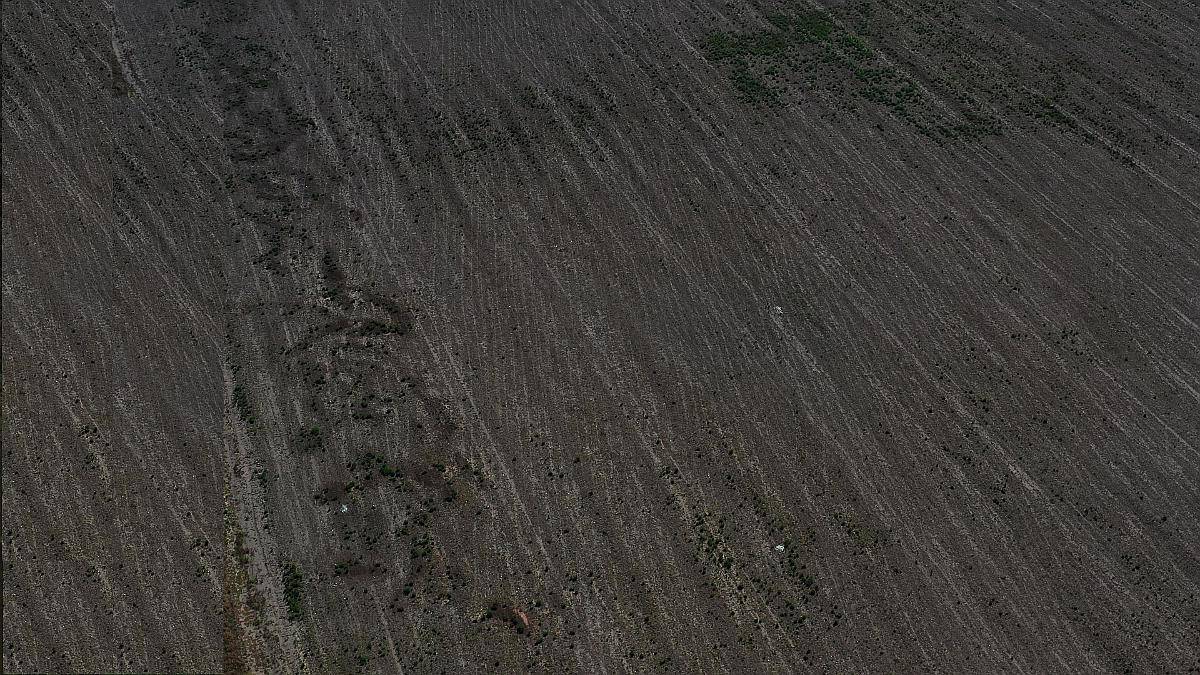 Chaco Santa Sylvina 158 Has Agrícolas