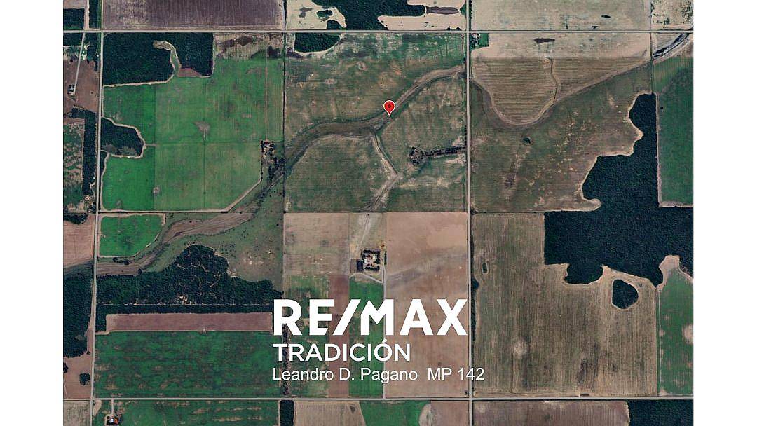 Campo Agricola en Venta - 100has Colonia J.marmol