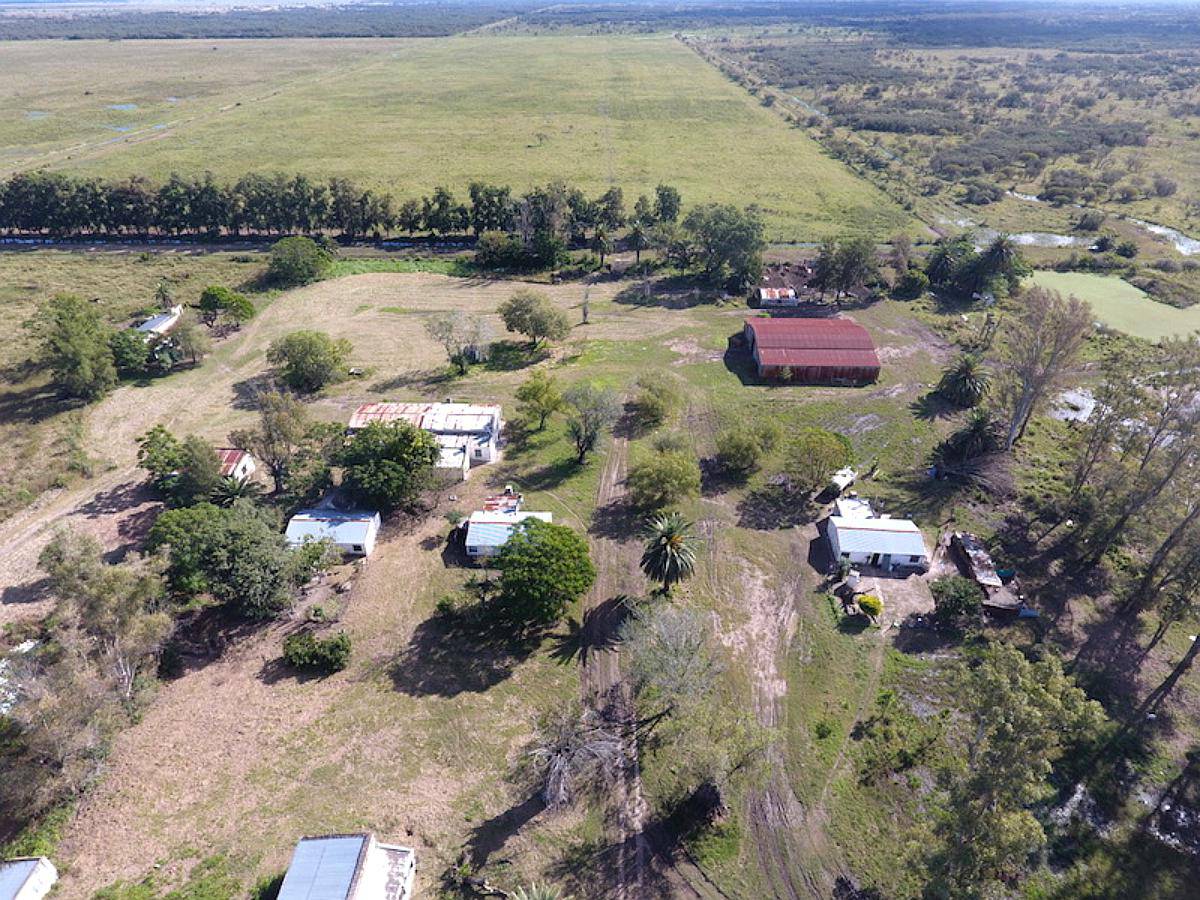 10150 Has Ganaderas Tostado Sobre RN98