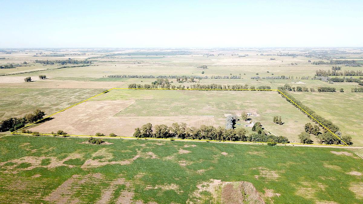 44 Has. Campo Agrícolo Ganadero en General Rodriguez