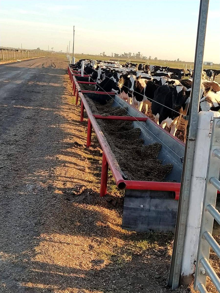 Comederos Móviles para Ganado